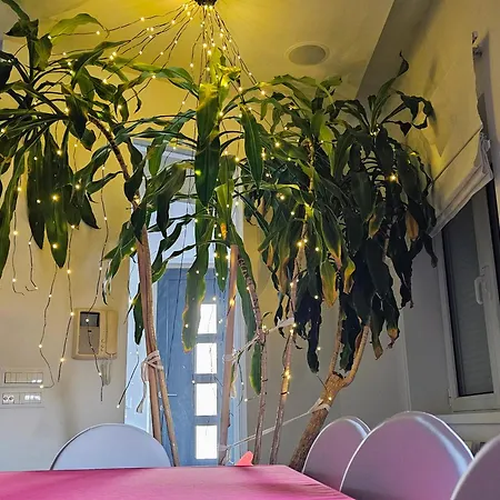 Zen & Art 아파트 *