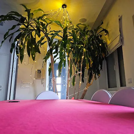 Zen & Art 아파트 풀라